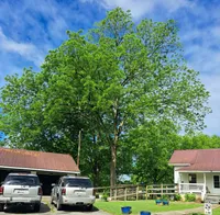 processed/3149191b-7caf-44ea-93a3-777c3584e35d/facility/95c79b29-382e-4edf-bb5b-3a5500990303