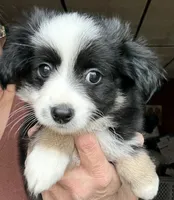 processed/3149191b-7caf-44ea-93a3-777c3584e35d/listing/b99d158c-73dc-4e63-a31d-269a6346f169/75337856-ba04-4424-8e45-bb16be95075f