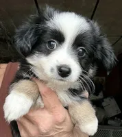 processed/3149191b-7caf-44ea-93a3-777c3584e35d/listing/b99d158c-73dc-4e63-a31d-269a6346f169/93114d2e-59a0-4dde-b3b3-c88cad724e27