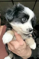 processed/3149191b-7caf-44ea-93a3-777c3584e35d/listing/b99d158c-73dc-4e63-a31d-269a6346f169/94976f2e-5aff-4c5e-a43c-f4edf98aad3e