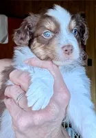 processed/3149191b-7caf-44ea-93a3-777c3584e35d/listing/bcaaf6f7-3788-47d6-b2ba-df709b596b8d/7b51570c-7e11-49a1-88da-caf76625dbfd