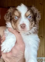 processed/3149191b-7caf-44ea-93a3-777c3584e35d/listing/bcaaf6f7-3788-47d6-b2ba-df709b596b8d/a5bf2212-45bd-4e56-b1b1-69d4c917c28e