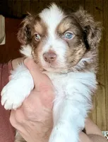 processed/3149191b-7caf-44ea-93a3-777c3584e35d/listing/bcaaf6f7-3788-47d6-b2ba-df709b596b8d/c90955b0-1433-4b24-b884-b3e1eb3885fe