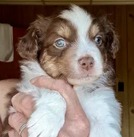 processed/3149191b-7caf-44ea-93a3-777c3584e35d/listing/bcaaf6f7-3788-47d6-b2ba-df709b596b8d/e2f35147-d955-475e-899a-4f5a66d11c5d