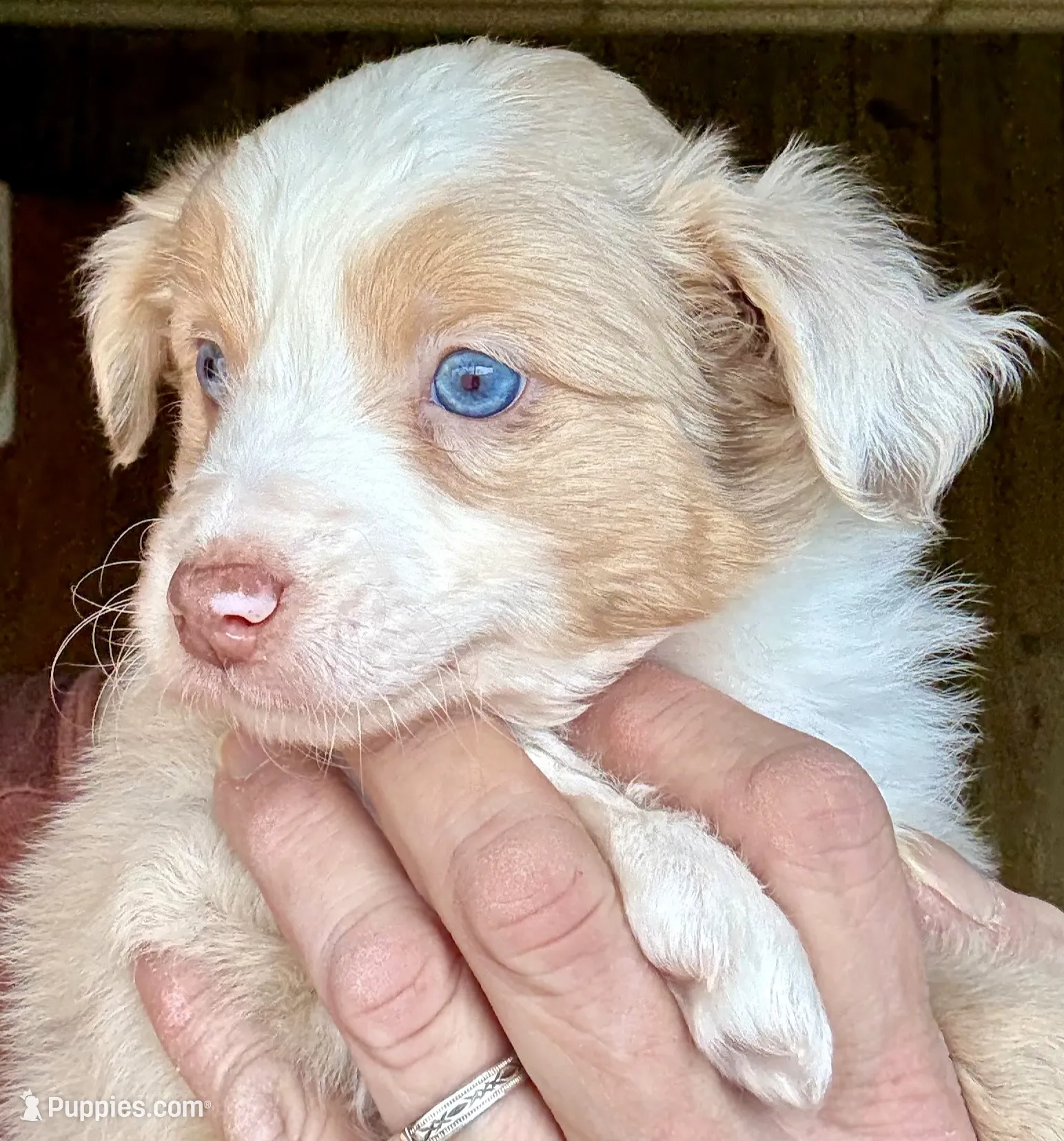 processed/3149191b-7caf-44ea-93a3-777c3584e35d/listing/c6ba47e2-9bfb-46a7-9a52-969345e043de/1e9aed57-307d-44b6-afc6-5f23d125e3d6