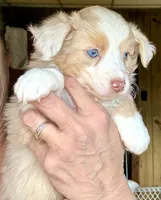 processed/3149191b-7caf-44ea-93a3-777c3584e35d/listing/c6ba47e2-9bfb-46a7-9a52-969345e043de/89874cde-4d59-47c3-a6d8-fd2dbabb39cf