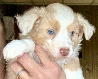 processed/3149191b-7caf-44ea-93a3-777c3584e35d/listing/c6ba47e2-9bfb-46a7-9a52-969345e043de/af57fb99-7134-4ccb-a3df-bab1fa9929c5