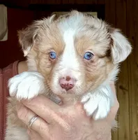 processed/3149191b-7caf-44ea-93a3-777c3584e35d/listing/f29a4cad-9ab9-4c9d-8733-5287d87add3f/13395a24-4432-4ac9-9b9f-1c05eff77722