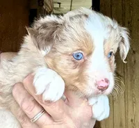 processed/3149191b-7caf-44ea-93a3-777c3584e35d/listing/f29a4cad-9ab9-4c9d-8733-5287d87add3f/1eb2be3e-57d7-4c36-af3f-355665195711