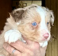 processed/3149191b-7caf-44ea-93a3-777c3584e35d/listing/f29a4cad-9ab9-4c9d-8733-5287d87add3f/22f40715-3c32-4f80-914a-0b64293ad7ac