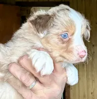 processed/3149191b-7caf-44ea-93a3-777c3584e35d/listing/f29a4cad-9ab9-4c9d-8733-5287d87add3f/2af676cf-19c0-4bc4-bc94-f1358f6803c7