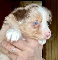 processed/3149191b-7caf-44ea-93a3-777c3584e35d/listing/f29a4cad-9ab9-4c9d-8733-5287d87add3f/308fbb09-2a9c-4dfb-adcd-f2cc52091931