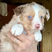 processed/3149191b-7caf-44ea-93a3-777c3584e35d/listing/f29a4cad-9ab9-4c9d-8733-5287d87add3f/47c87351-646d-4db0-8c0e-c893a6116203