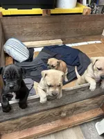 processed/315a6687-e6b1-41bf-91cf-6717ec1b6f30/facility/1c996ad4-e0ee-4ef9-8c2e-579758227083