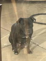 processed/315a6687-e6b1-41bf-91cf-6717ec1b6f30/facility/7d727c14-c825-4f46-b09b-60d521d4fbf6