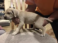 processed/315a6687-e6b1-41bf-91cf-6717ec1b6f30/facility/abfec9a2-9926-49b0-afe2-06803605c5f0