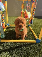 Facility photo