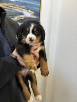 processed/3166b047-1217-408c-9a91-e83a1471ad8c/listing/359429f0-3361-4395-8ceb-1a283bbba883/63e97051-a243-4ad7-9fd8-fb35ed6ad367