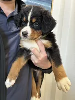 processed/3166b047-1217-408c-9a91-e83a1471ad8c/listing/83973bc5-a3ce-493c-add7-29a5bb2bf544/958fe658-4645-4a40-a413-2fd7f22ea2ac