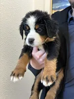 processed/3166b047-1217-408c-9a91-e83a1471ad8c/listing/c4f7f4b6-c971-4a3c-a985-e795fa62330b/7eae7212-7e98-445a-a885-6dba733c481c