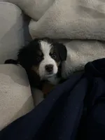 processed/3166b047-1217-408c-9a91-e83a1471ad8c/listing/c4f7f4b6-c971-4a3c-a985-e795fa62330b/ef4158ca-e88c-4dd9-928d-855e30fb01af