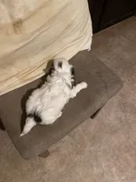 processed/317d8706-1197-487a-b136-0428297ddee0/listing/38668ed4-2164-43d4-930d-08bfce4e714e/7d4ffcd3-7c93-4d19-9059-e2be48627aa1