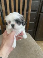 processed/317d8706-1197-487a-b136-0428297ddee0/listing/38668ed4-2164-43d4-930d-08bfce4e714e/a22a05c7-67e4-48e7-84c7-7c8224ab96a7