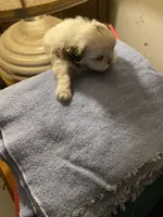 processed/317d8706-1197-487a-b136-0428297ddee0/listing/38668ed4-2164-43d4-930d-08bfce4e714e/b2628258-78ef-45df-87c2-5b8d3506b30b