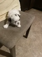 processed/317d8706-1197-487a-b136-0428297ddee0/listing/38668ed4-2164-43d4-930d-08bfce4e714e/e75200f5-6d0a-46fe-9272-4d2a9713d42a