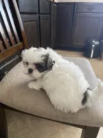 processed/317d8706-1197-487a-b136-0428297ddee0/listing/38668ed4-2164-43d4-930d-08bfce4e714e/fd957590-ff09-41a8-933a-176eb5475b4b