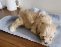 processed/3184a57e-3de5-41ee-800c-3f9c16a4e082/listing/522aeaf8-4b96-431e-8f30-70085ba30111/4cd4dbfe-5360-450a-b37a-732f76cda443