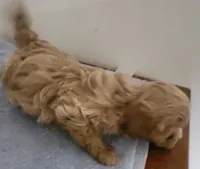 processed/3184a57e-3de5-41ee-800c-3f9c16a4e082/listing/9896eaa1-dfd3-4a02-bf85-def4aa10d659/837ebc89-9cfc-4231-95c3-c598022fb3e4