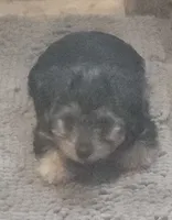 processed/3184a57e-3de5-41ee-800c-3f9c16a4e082/listing/ba3673d0-2b9b-4387-acbd-e2414c979328/4a055ac0-02b3-4ed2-9d48-4fee8e518aa8