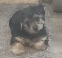 processed/3184a57e-3de5-41ee-800c-3f9c16a4e082/listing/ba3673d0-2b9b-4387-acbd-e2414c979328/ad79dad3-d9d2-4744-bb68-f41be1db10f8