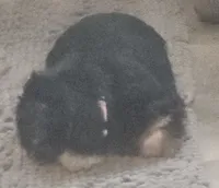 processed/3184a57e-3de5-41ee-800c-3f9c16a4e082/listing/ba3673d0-2b9b-4387-acbd-e2414c979328/ef187794-b7fe-4221-b498-16eb8964565f