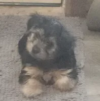 processed/3184a57e-3de5-41ee-800c-3f9c16a4e082/listing/ba3673d0-2b9b-4387-acbd-e2414c979328/fc60e3a4-4b49-4ca7-bbb1-b04ddd619316