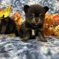 processed/3186023b-b22f-4f15-a3ea-e2784f23c117/facility/498d7d5a-37a7-4787-acad-d4c9b5182473