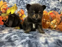 processed/3186023b-b22f-4f15-a3ea-e2784f23c117/facility/498d7d5a-37a7-4787-acad-d4c9b5182473