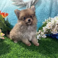 processed/3186023b-b22f-4f15-a3ea-e2784f23c117/facility/7df1aa93-ae5f-499a-82a5-981c77e68110