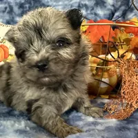 processed/3186023b-b22f-4f15-a3ea-e2784f23c117/facility/8602285c-4d73-4271-8c02-f3f9b8f94820