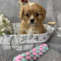 processed/3186023b-b22f-4f15-a3ea-e2784f23c117/facility/969be812-4d55-43da-b1b2-734083e3a701