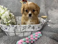 processed/3186023b-b22f-4f15-a3ea-e2784f23c117/facility/969be812-4d55-43da-b1b2-734083e3a701