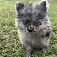 processed/3186023b-b22f-4f15-a3ea-e2784f23c117/facility/c546762f-b6cb-4c41-84d0-213151d8e548