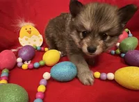 processed/3186023b-b22f-4f15-a3ea-e2784f23c117/facility/d69c6cc5-c567-4d0f-9ea2-07b1f3f2b7cd