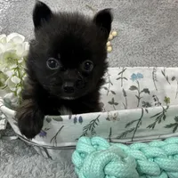 processed/3186023b-b22f-4f15-a3ea-e2784f23c117/facility/e91cf773-fb3f-45ee-bfec-a200bb1b375c