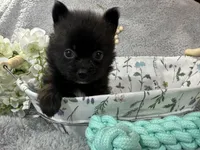 processed/3186023b-b22f-4f15-a3ea-e2784f23c117/facility/e91cf773-fb3f-45ee-bfec-a200bb1b375c