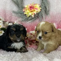 processed/3186023b-b22f-4f15-a3ea-e2784f23c117/facility/f2fadb34-7c66-4524-ab42-9df87f476bf4