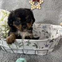 processed/3186023b-b22f-4f15-a3ea-e2784f23c117/facility/f5ae1ff7-a806-436c-a7d9-8efcf04e4ebb