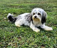 processed/3188420d-b9a6-4f61-9eb1-2a87fe54e3af/facility/6cf8a773-5802-4771-a091-e89e78dc2ce7