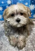 processed/318a2ac9-46fc-4dd0-9d6f-043801221fed/listing/6187c025-ba0f-4536-9df9-c588b9c1a7c8/4deb8985-c600-4489-a5b3-cef7b7e6a0c8